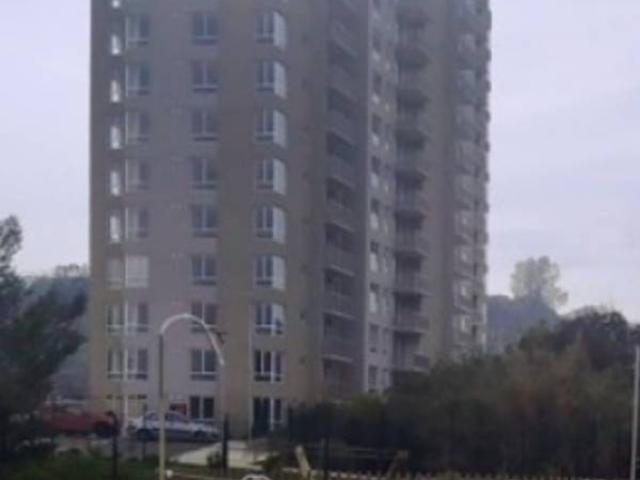Arrienda departamento en Peñablanca en troncal urbano