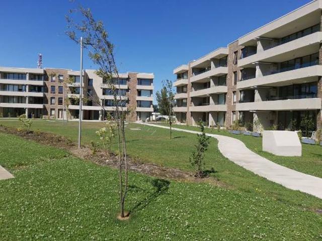 Arrienda Departamento Quilamapu