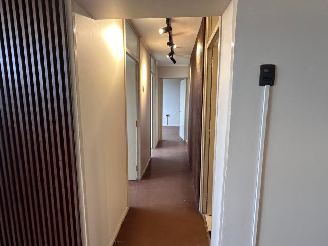 ¡ARRIENDA DEPARTAMENTO REMODELADO EN LAS ÁNIMAS, VALDIVIA!