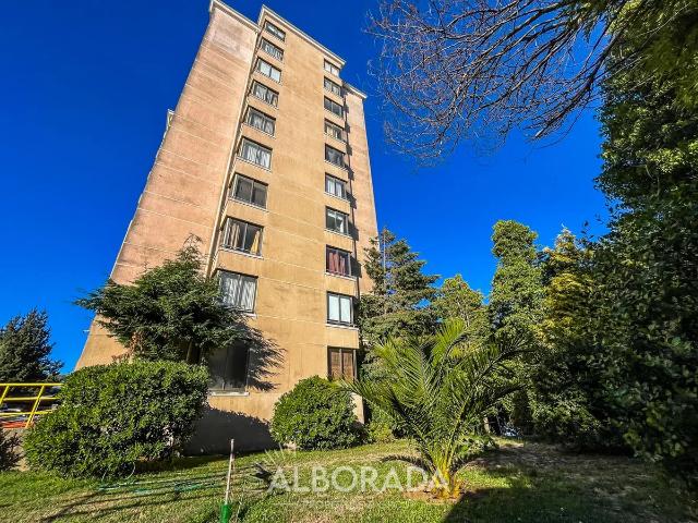Arriendo acogedor departamento en laguna redonda concepción