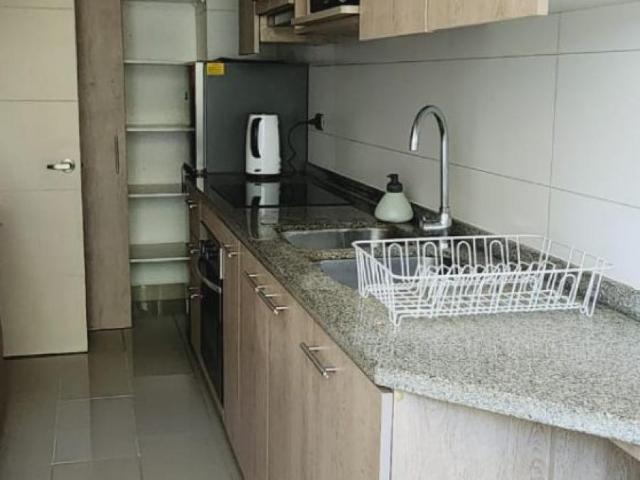 ARRIENDO AMOBLADO 3D+2B+ESTAC.Y BODEGA CENTRAL