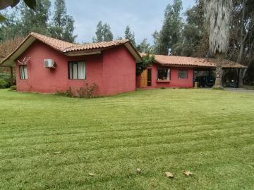 Arriendo amplia casa en parcela 4D/3B a pasos de Colegio Carampangue