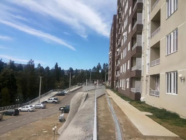 Arriendo año corrido departamento amoblado,viña del mar