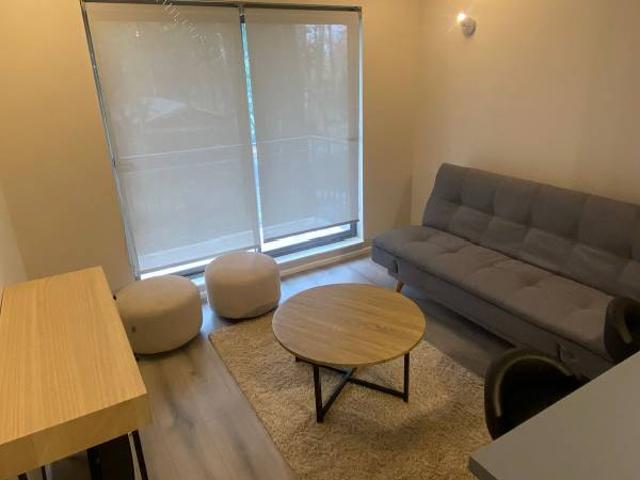 Arriendo Año Corrido Depto 1D+1B Nuevo Parque Suizo