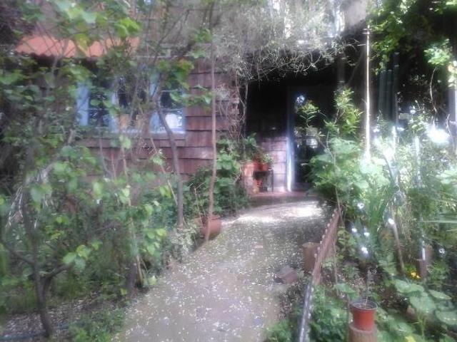 arriendo cabaña en Santa Sofía de lo Cañas