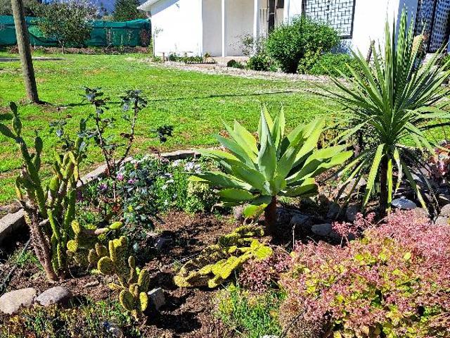 Arriendo Casa Amplia Tipo Parcela
