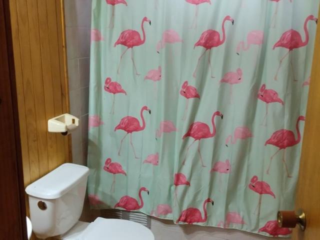 Arriendo casa en Frutillar Bajo a pasos de la costanera