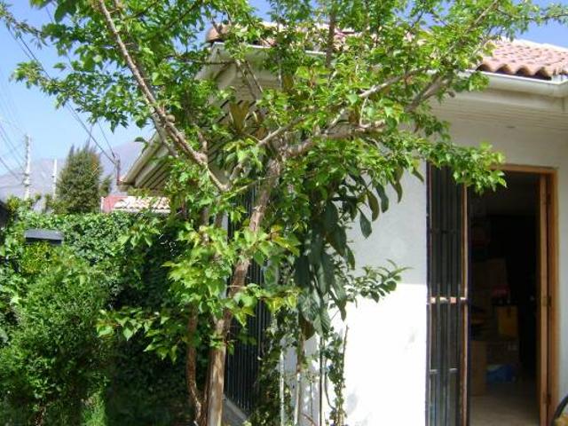 Arriendo casa San Felipe