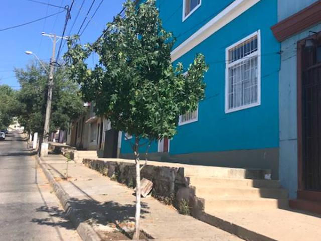 Arriendo casona Cerro Baron bajo primer piso
