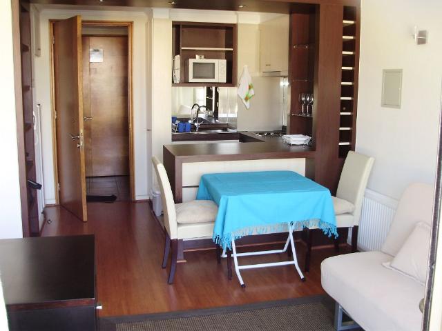 ARRIENDO COMODO DEPARTAMENTO EN PLENO CENTRO DE VIÑA