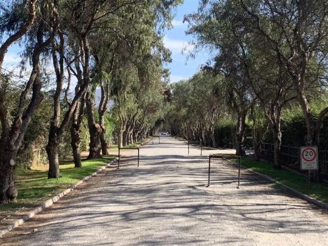 Arriendo Comoda Casa En Excelente Sector De Talagante