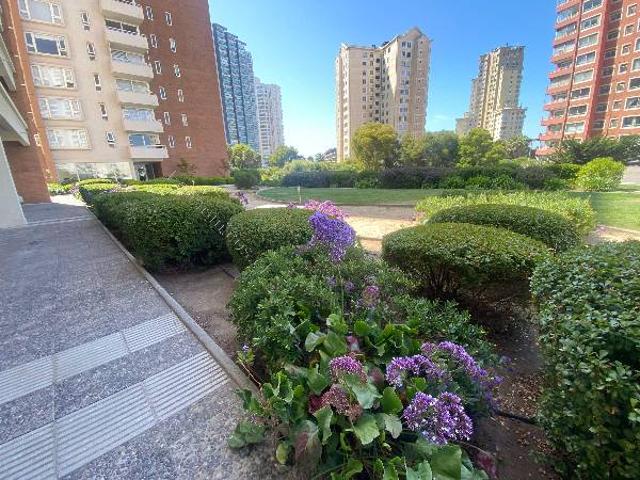 Arriendo Concón, Vista