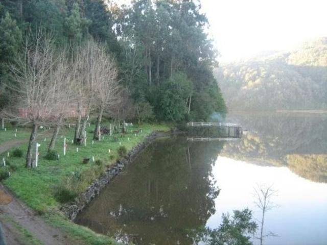 Arriendo de Casas en Valdivia | Arriendo cabaña cutipay valdivia 2 Dormitorios por CLP 420000.00