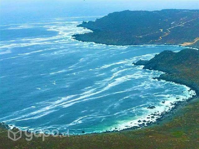 Arriendo de Casas en Coquimbo | Casa amoblada linda vista al mar dentro de campo k 4 Dormitorios por CLP 400000.00