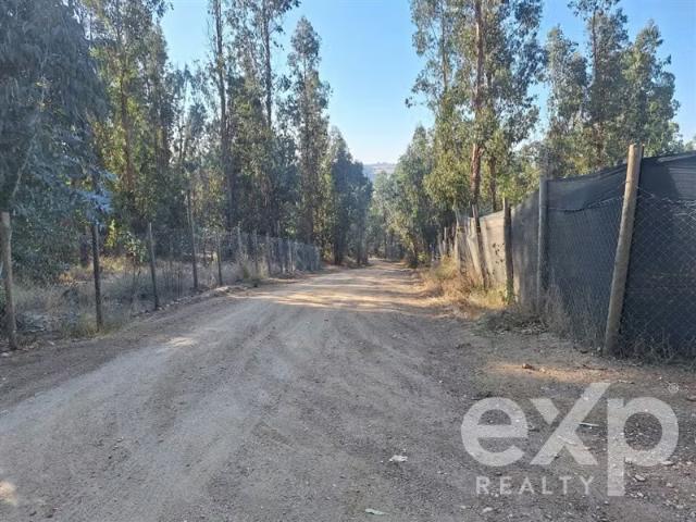 Casas en arriendo en O'Higgins | Casa en arriendo de 4 dorm. En Marchigüe 4 dormitorios por CLP 990000.00