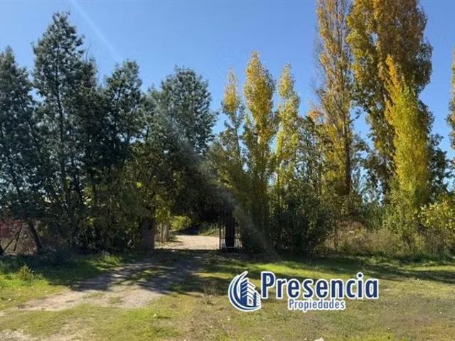 Casas en arriendo en Pencahue | casa en arriendo con terreno de 1 hectárea en Pencahua 5 dormitorios por CLP 650000.00