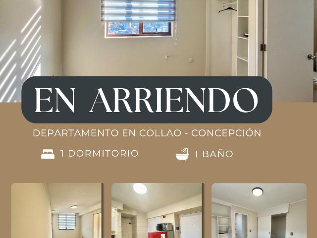 ARRIENDO DE DEPARTAMENTO 1D 1B 1B, COLLAO / CONCEPCIÓN