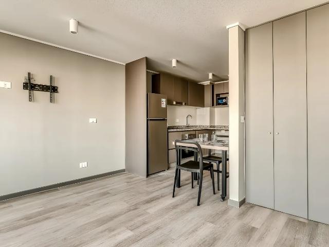 Arriendo De Departamento En Santiago. Tipo Estudio