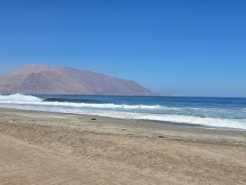 Arriendo de Departamentos en Iquique | Condominio Distrito Cavancha II 1 Dormitorios por CLP 600000.00