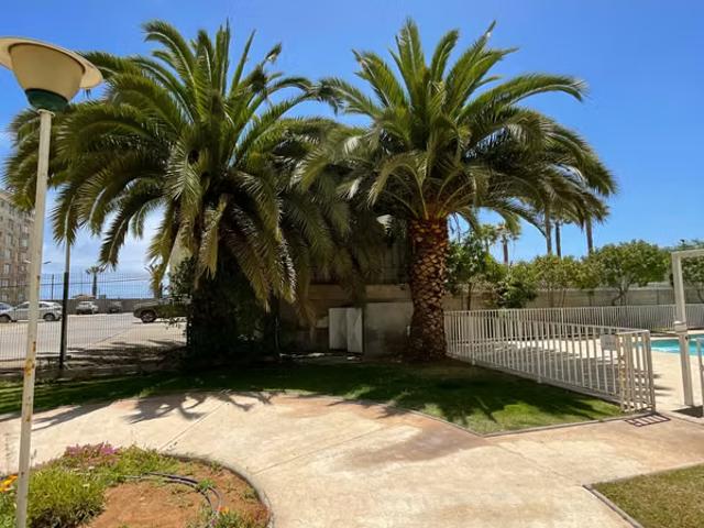 Departamentos en arriendo en la serena | arriendo marzo diciembre avenida del mar 1504 dormitorios por CLP 580000.00