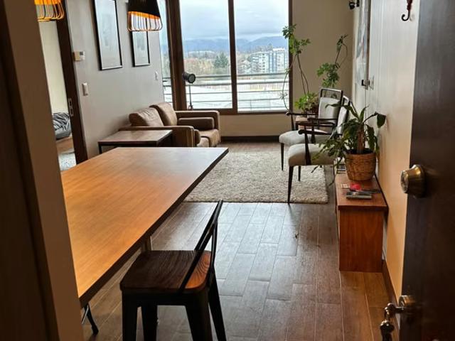 Departamentos en arriendo en Valdivia | Arriendo de departamento en sector Isla Teja 1 dormitorios por CLP 650000.00
