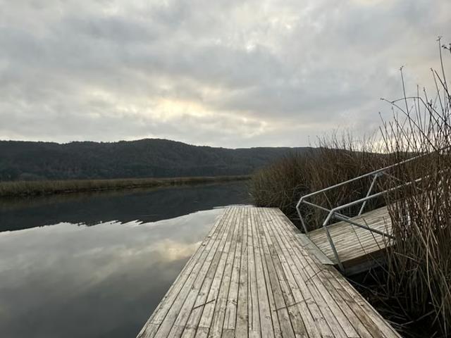 Arriendo de Departamentos en Valdivia | Arriendo exclusivo departamento en Isla Teja – Vista privilegiada al río y humedales 2 Dormitorios por CLF 24.00