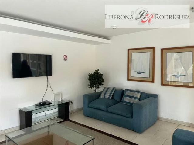 Departamentos en arriendo en Viña del Mar | Departamento en arriendo en Viña del Mar 2 dormitorios por CLP 540000.00