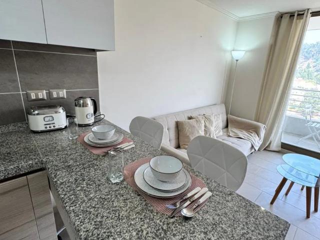 Arriendo depto 1 habitación gustavo fricke viña del mar
