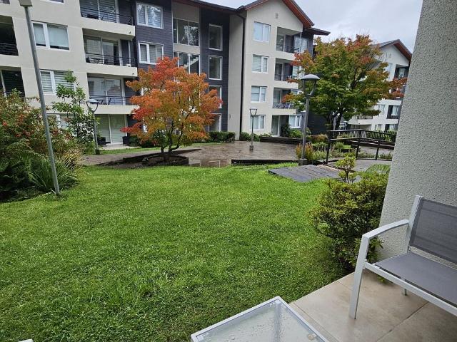 Arriendo depto 2d 2b condominio robles del volcán