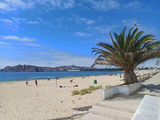 Arriendo Depto Amoblado