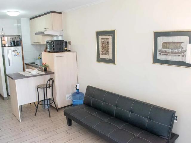 Arriendo depto amoblado 1 habitación carmen 3003