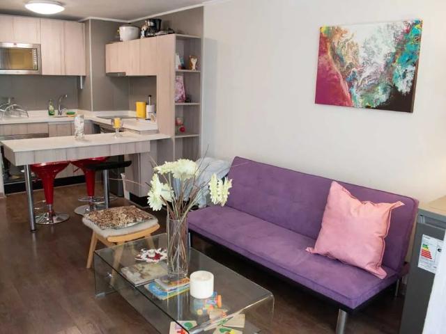 Arriendo depto amoblado 1 habitación santiago 4238