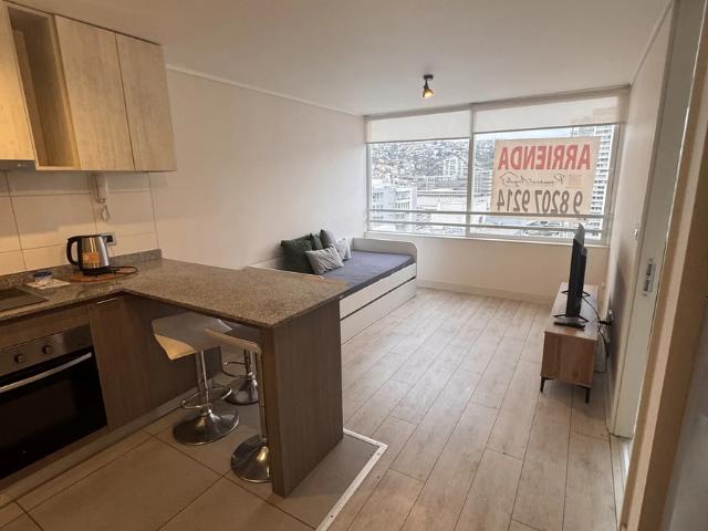 Arriendo depto amoblado viña del mar 1d 1b
