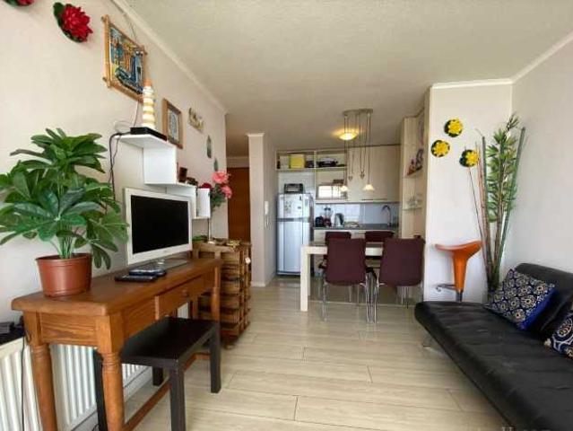 Arriendo depto amoblado frente al mar