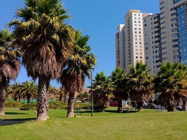 Arriendo Depto en Costa de Montemar