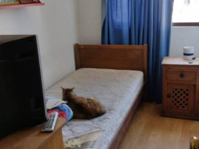ARRIENDO DEPARTAMNETO