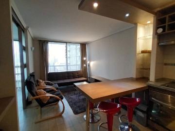 Arriendo Departamento 1 dorm 1 baño en Santiago centro