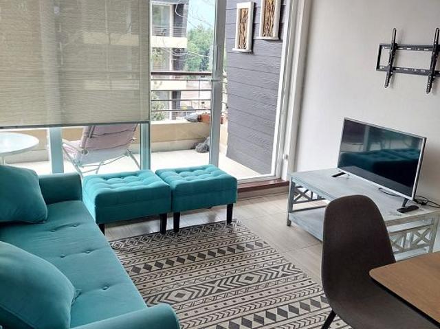 ARRIENDO DEPARTAMENTO 1HAB 1BA CAMINO AL VOLCAN, 960