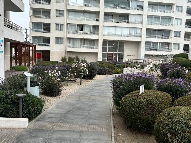 Arriendo Departamento 2D 2B Sector Avenida del Mar