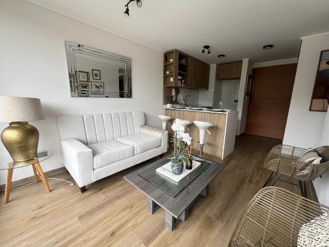 Arriendo departamento con vista en edificio chacabuco 852