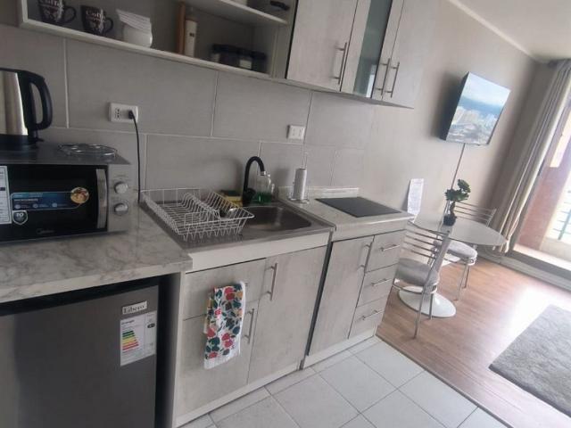 Arriendo Departamento Concepción Laguna rodanda 2327