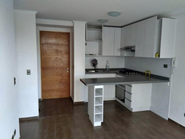 ARRIENDO DEPARTAMENTO CERRO LAS DELICIAS SAN ROQUE