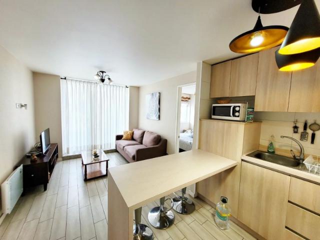 Arriendo Departamento Amoblado