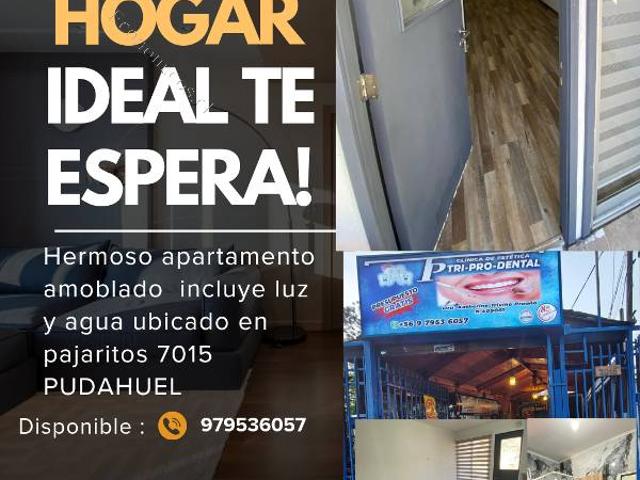 Arriendo departamento amoblado