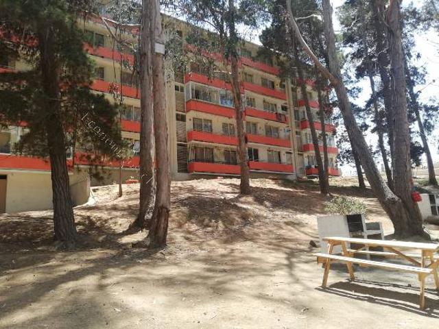 ARRIENDO DEPARTAMENTO AMOBLADO
