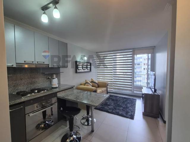 Arriendo departamento amoblado