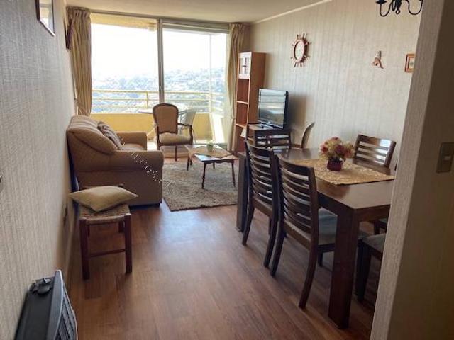Arriendo departamento amoblado Año corrido