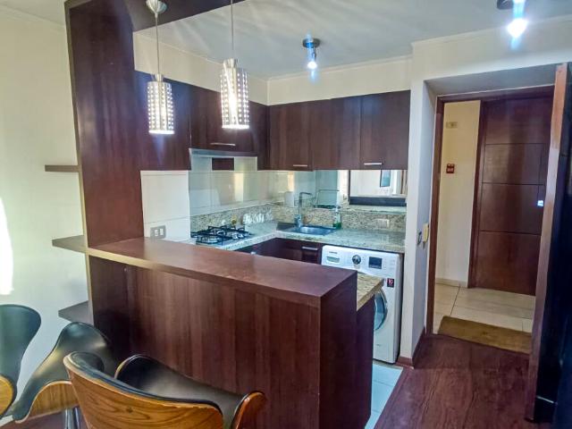 ARRIENDO DEPARTAMENTO AMOBLADO EN PROVIDENCIA