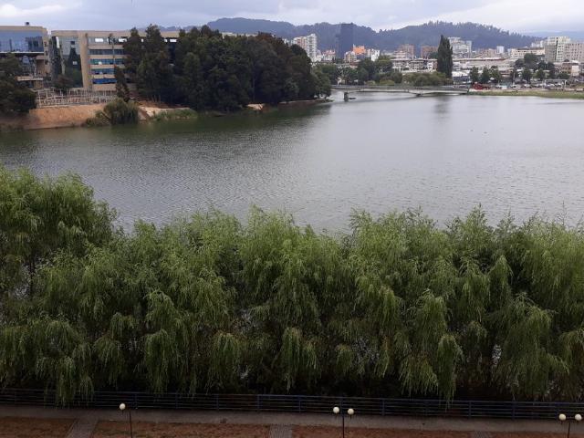 Arriendo departamento amoblado frente a uss