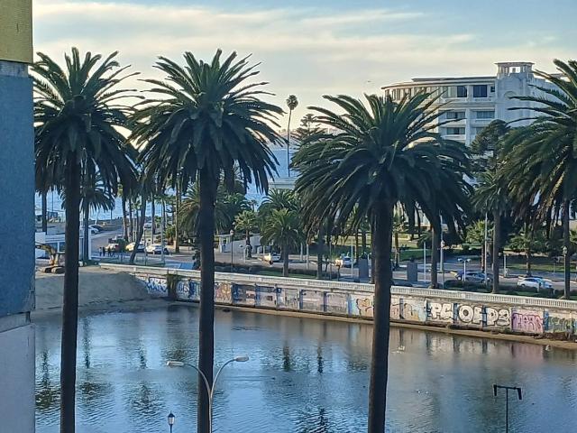 Arriendo departamento avenida marina viña del mar